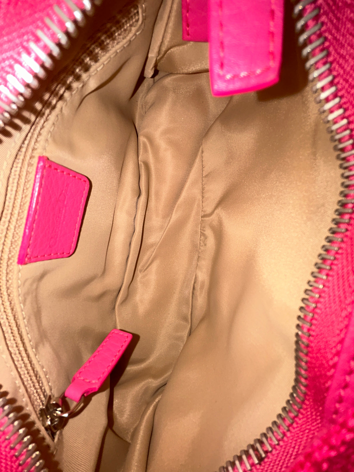 Christian Dior Pink Oblique Trotter Monogram Pochette Shoulder Bag