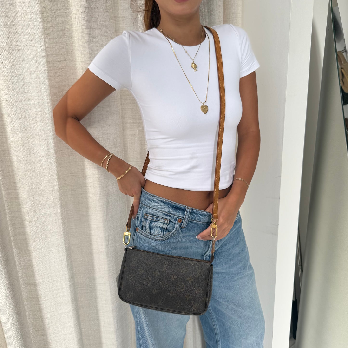 Louis Vuitton Classic Monogram Pochette Accessories