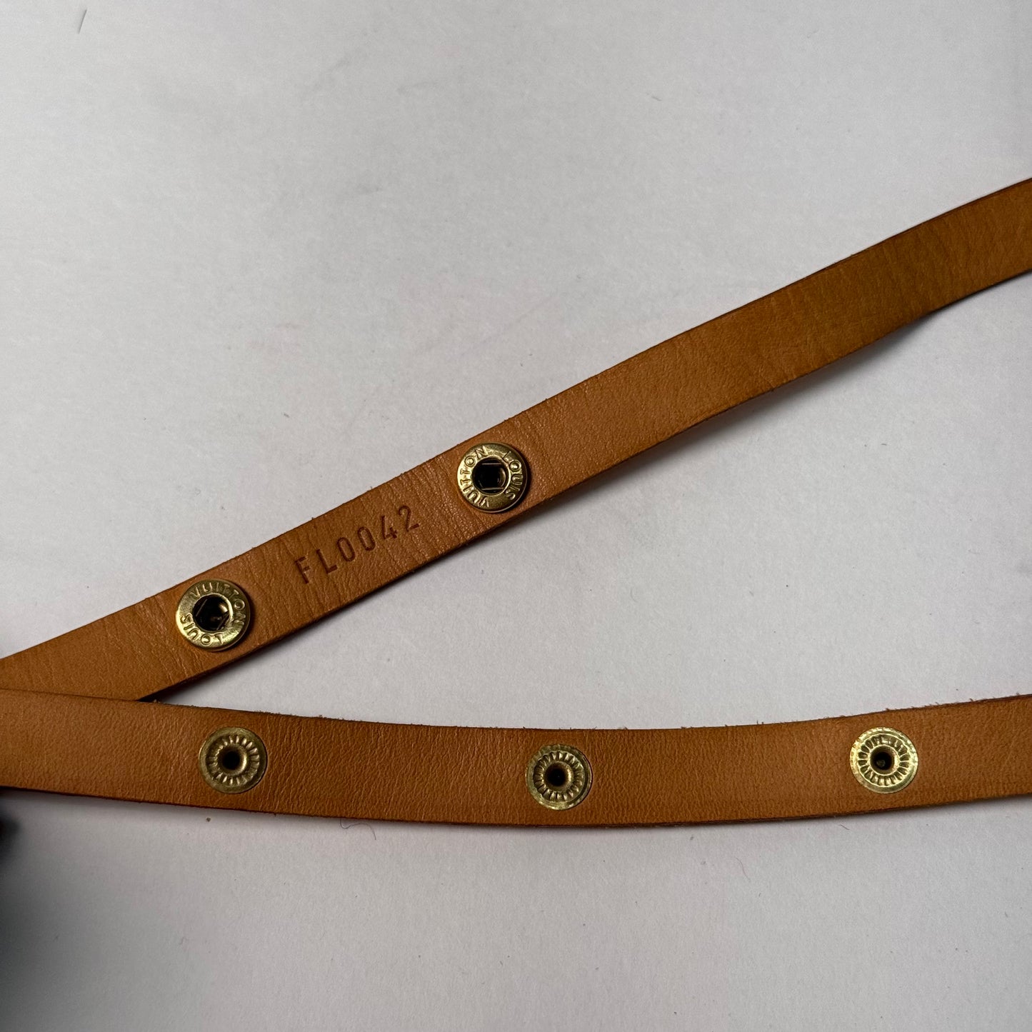 Louis Vuitton Brown Monogram Florentine Bag