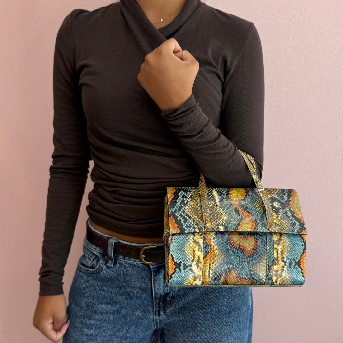 Chanel Multicolored Python Leather CC Top Handle Bag