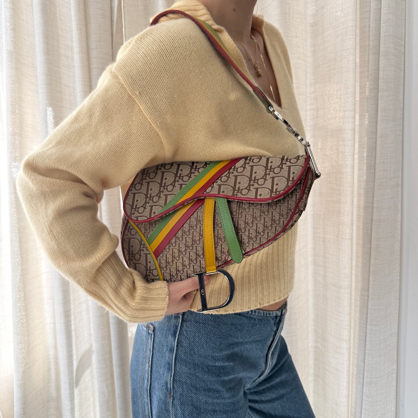 Christian Dior Brown Trotter Monogram Rasta Saddle Bag