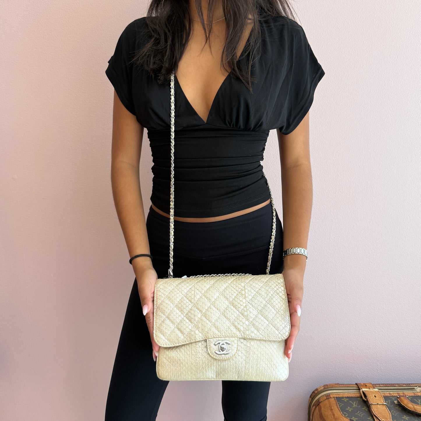 Chanel Python Metallic Cream Accordion Flap Bag
