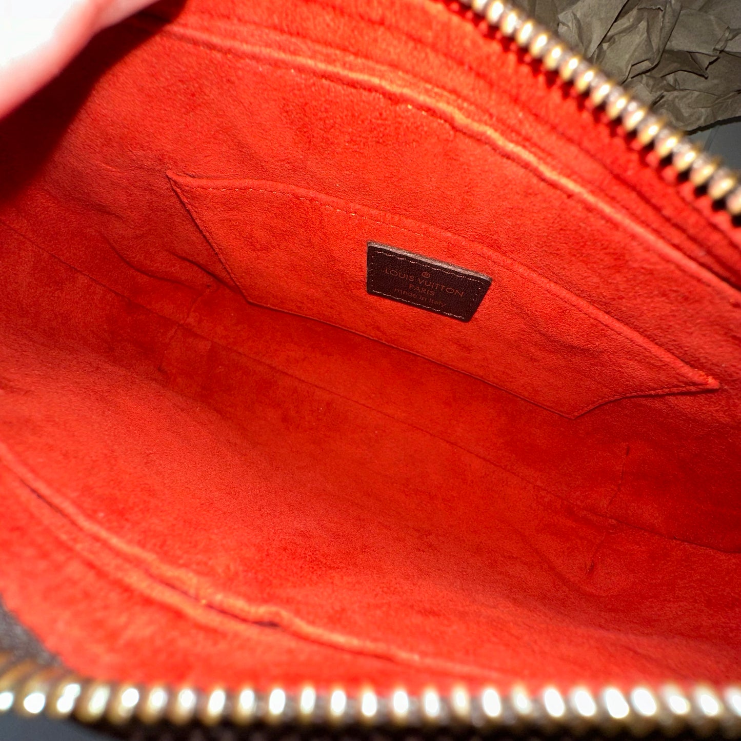 Louis Vuitton 2000 Brown Damier Pony Hair Sauvage Tigre