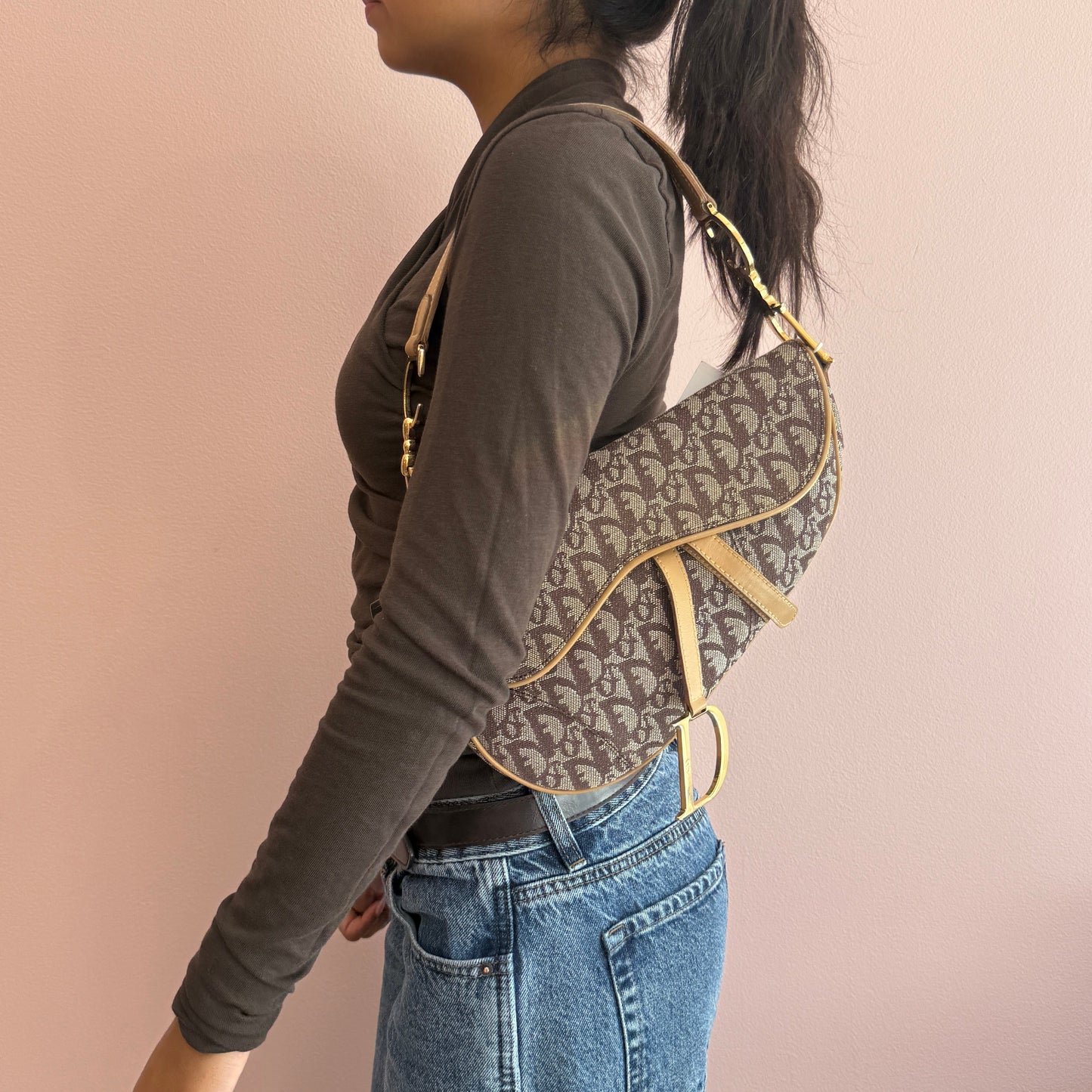 Christian Dior Brown Canvas & Leather Trotter Monogram Saddle Bag