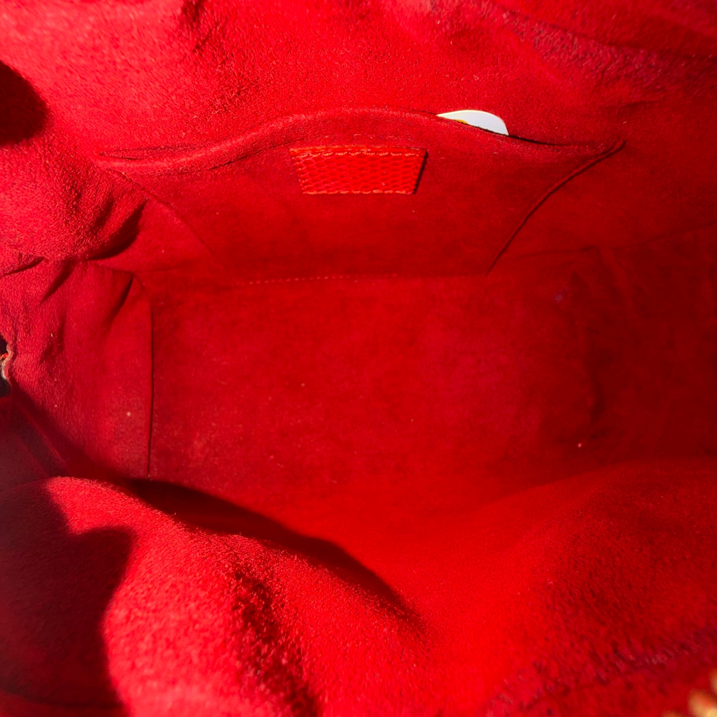 RARE Louis Vuitton Lizard Brown & Red Monogram Murakami Cherry Neo Deauville