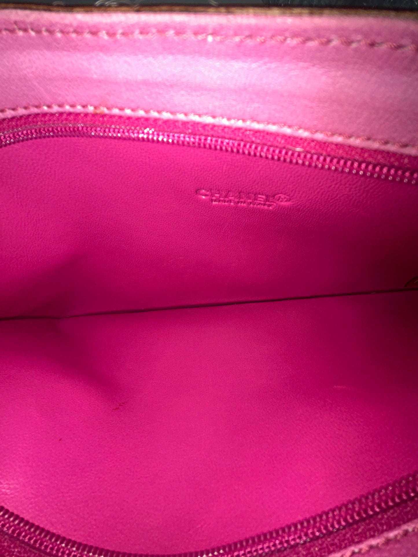 Chanel Ponyhair Chain Printed Pochette Shoulder Bag