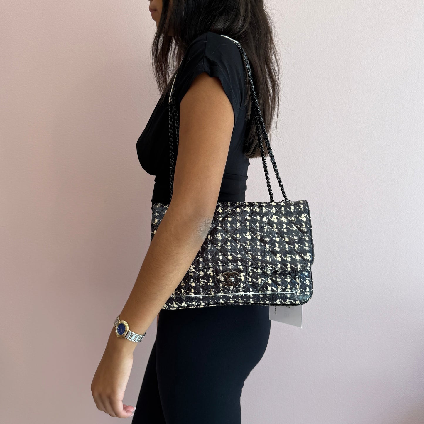 RARE Chanel Python Houndstooth Printed Accordion Flap Bag