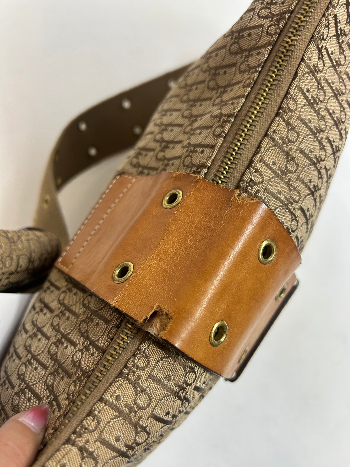 Christian Dior Brown Street Chic Crossbody Bag w/ Pouch