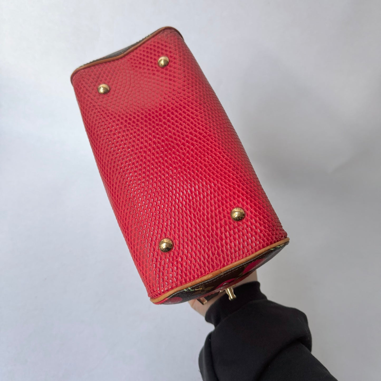 RARE Louis Vuitton Lizard Brown & Red Monogram Murakami Cherry Neo Deauville