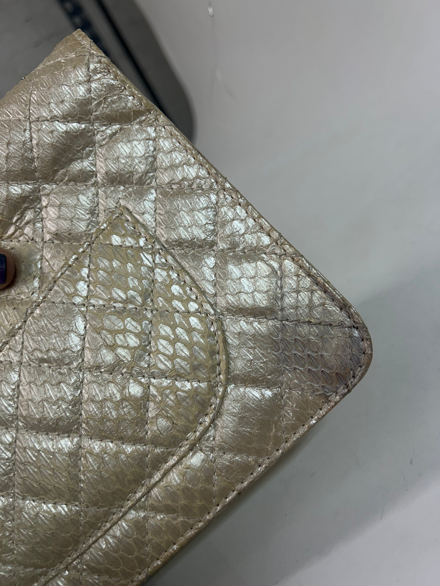 Chanel Python Metallic Cream Accordion Flap Bag