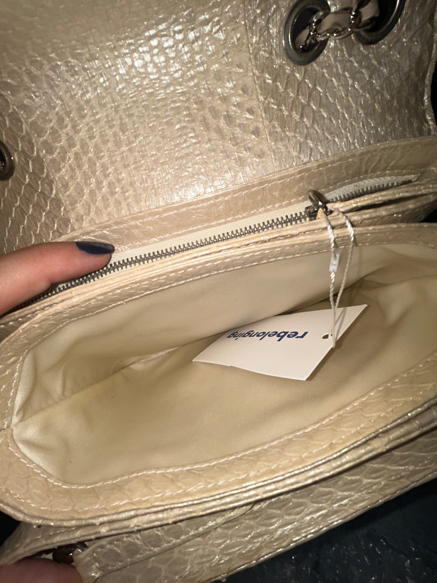 Chanel Python Metallic Cream Accordion Flap Bag