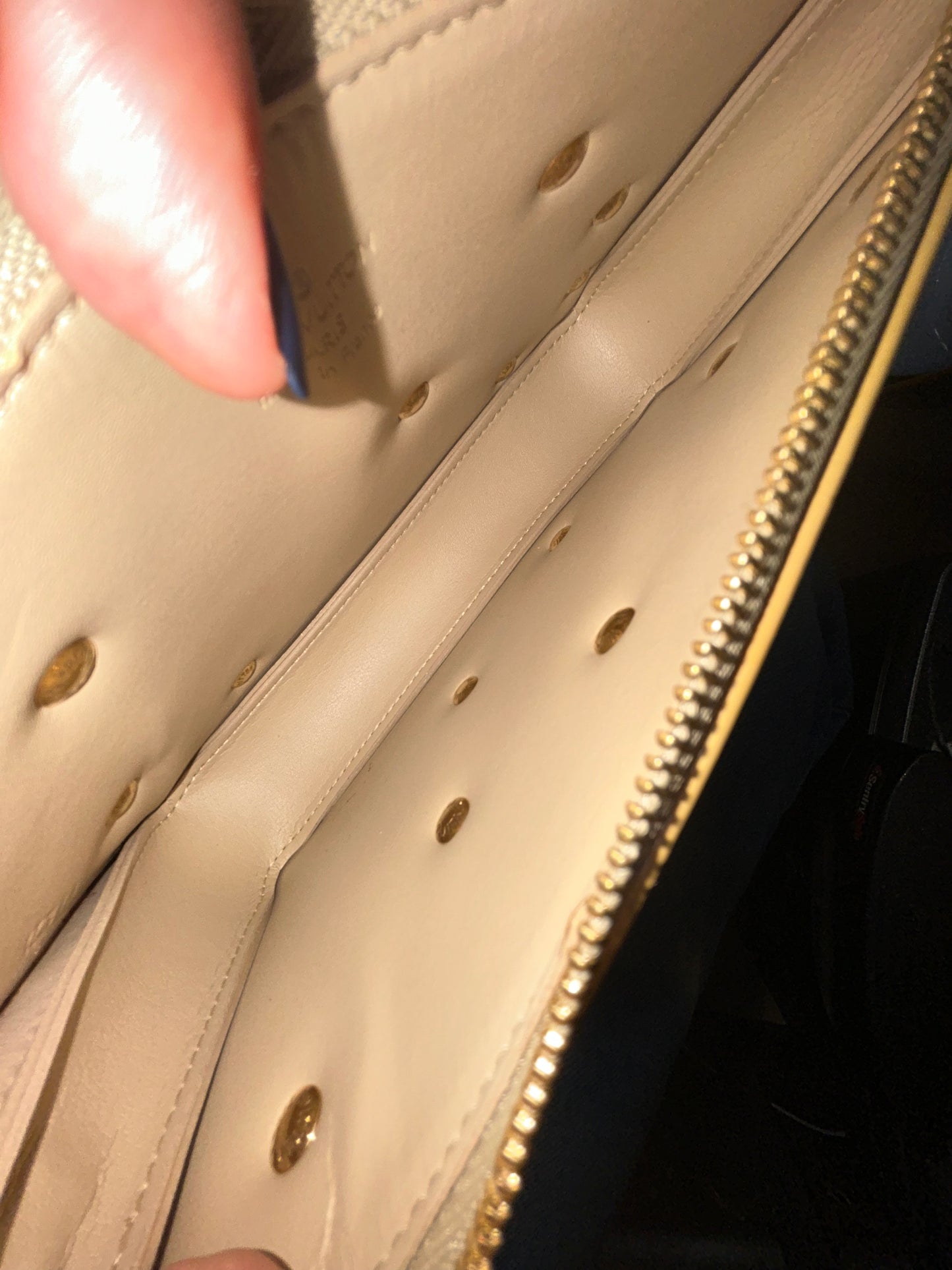 Louis Vuitton Beige Monogram Flower Lexington Pochette
