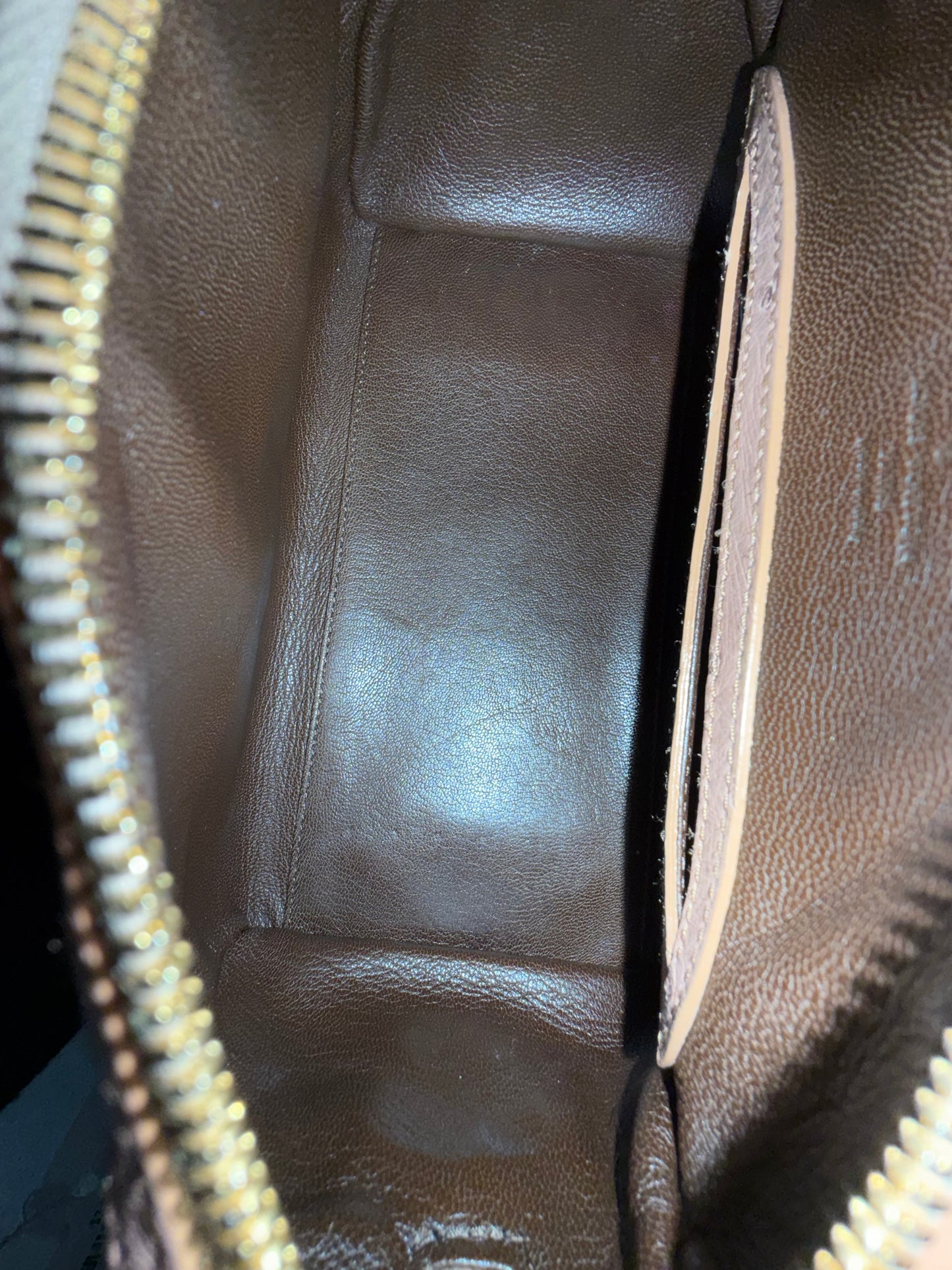 RARE Louis Vuitton Brown Multicolored Monogram Ostrich & Alligator Comédie Carousel Top Handle Bag