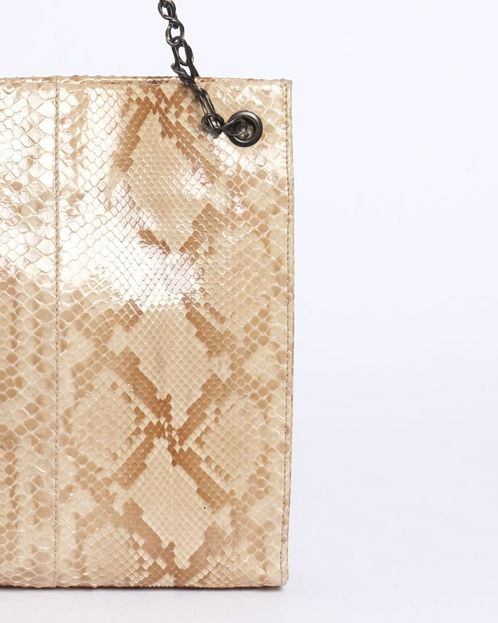 Prada Brown Python Chain Shoulder Bag