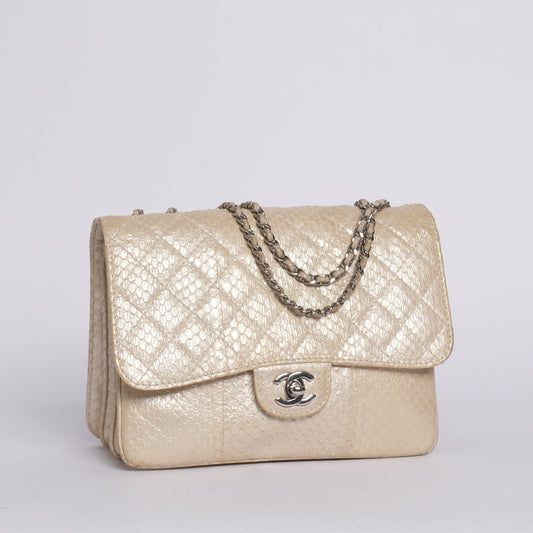 Chanel Python Metallic Cream Accordion Flap Bag