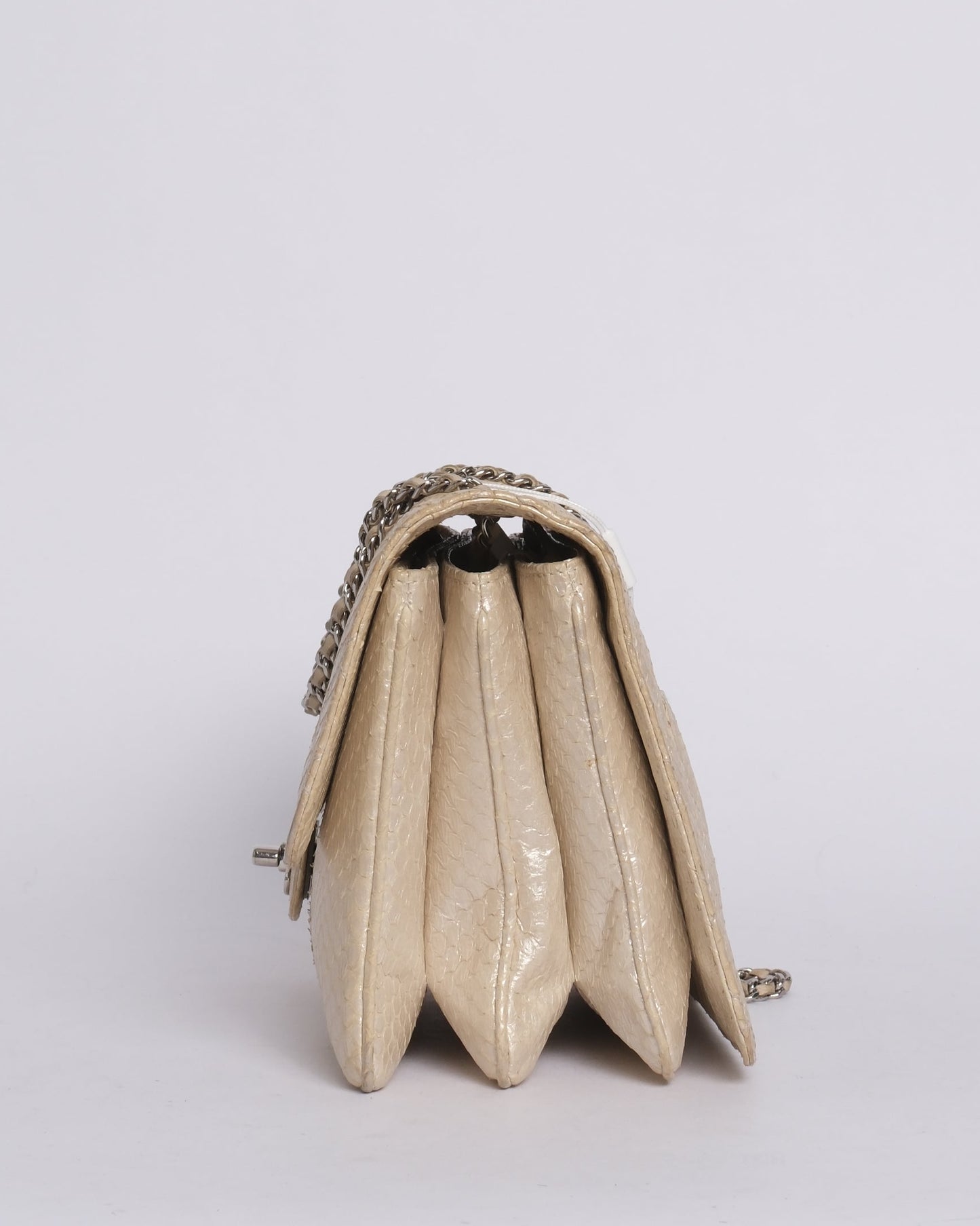 Chanel Python Metallic Cream Accordion Flap Bag