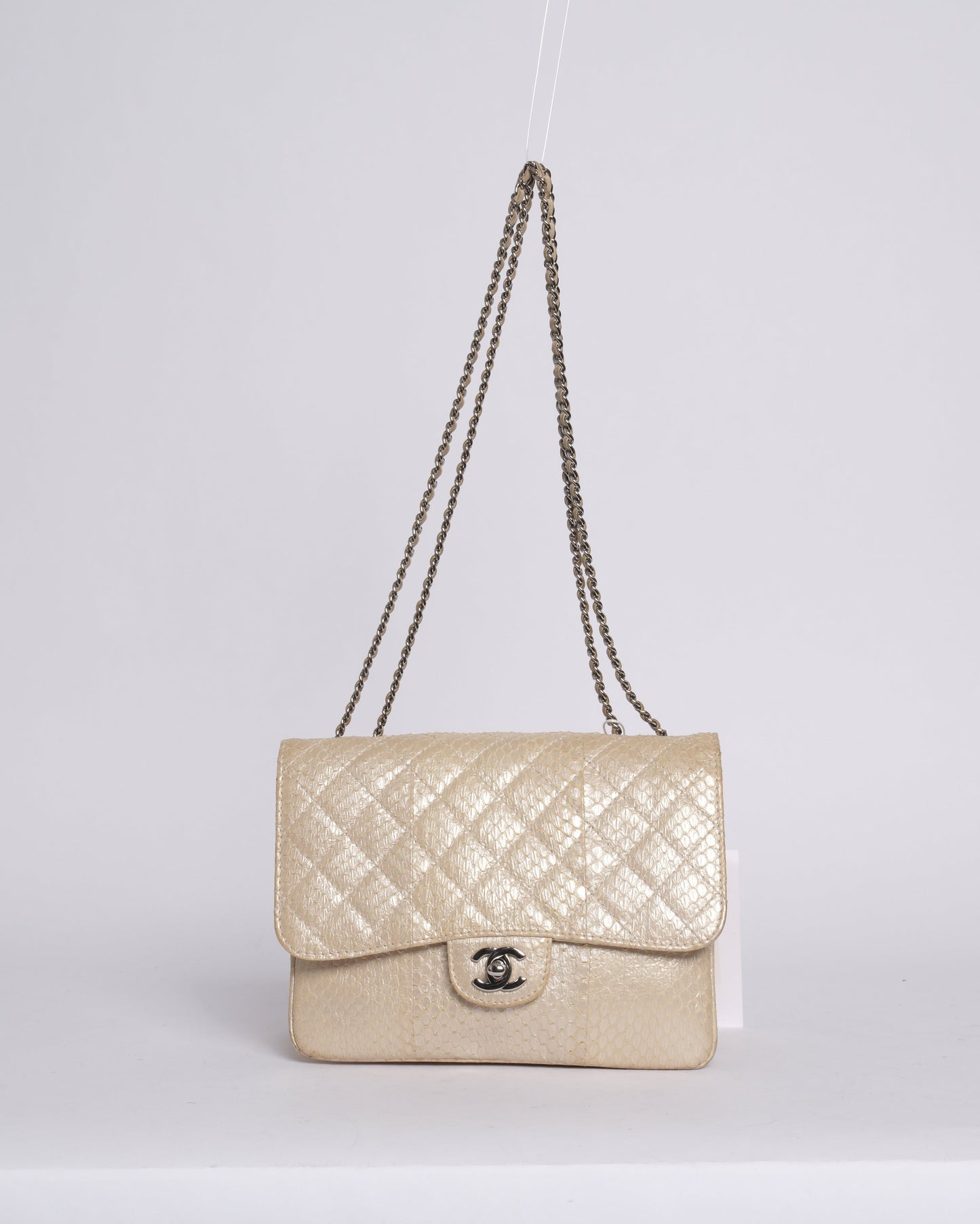 Chanel Python Metallic Cream Accordion Flap Bag